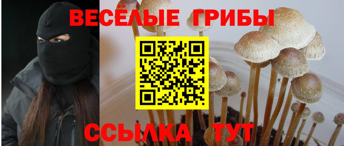 Псилоцибиновые грибы ЛСД Волгоград