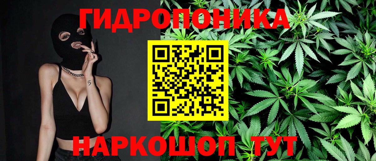 Волгоград  Канабис план  Конопля гибрид  Вход с VPN  МАРИХУАНА план 